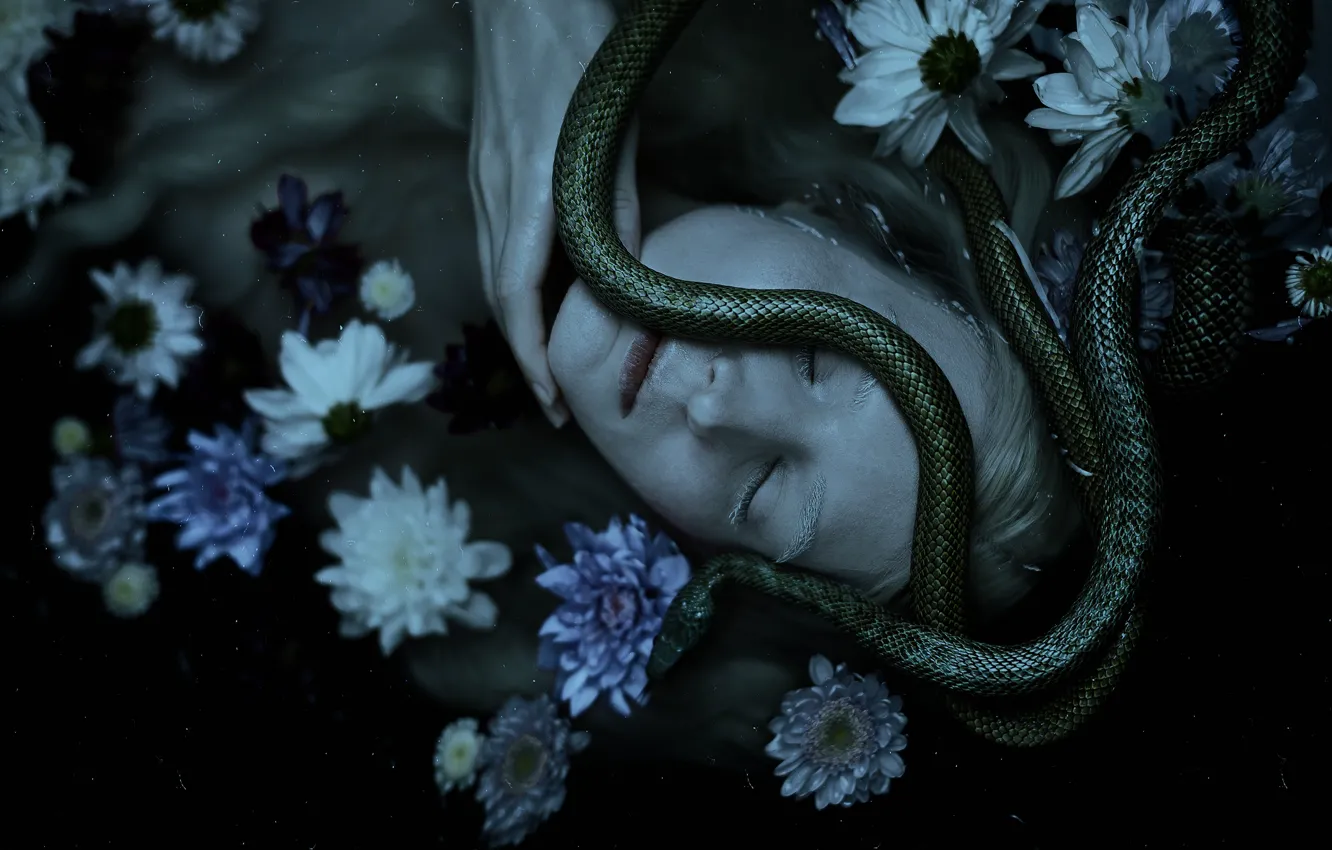 Photo wallpaper water, girl, flowers, face, the dark background, fear, snake, blonde