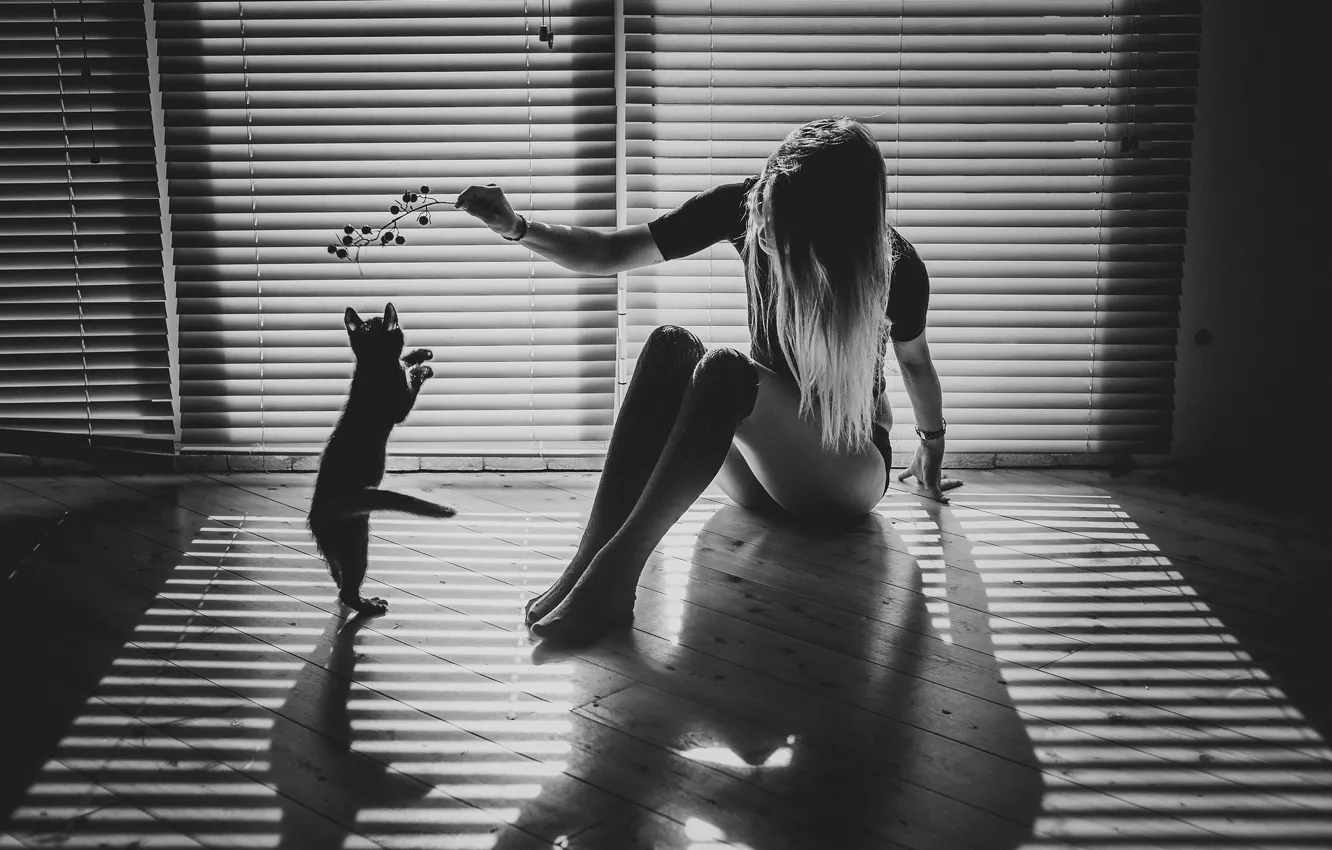 Photo wallpaper cat, girl, light, sprig, room, the game, shadows, monochrome
