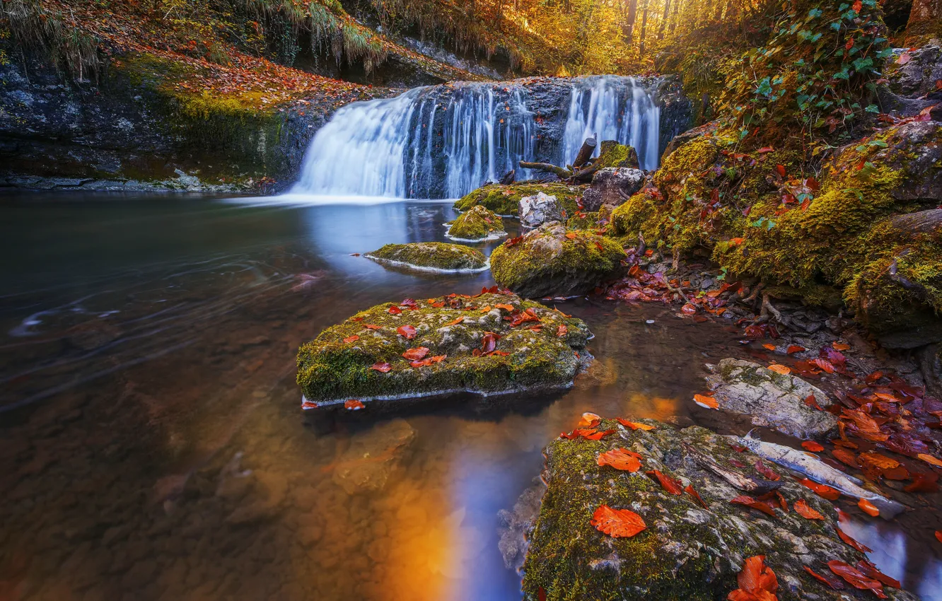 Photo wallpaper autumn, forest, leaves, river, stones, France, waterfall, cascade