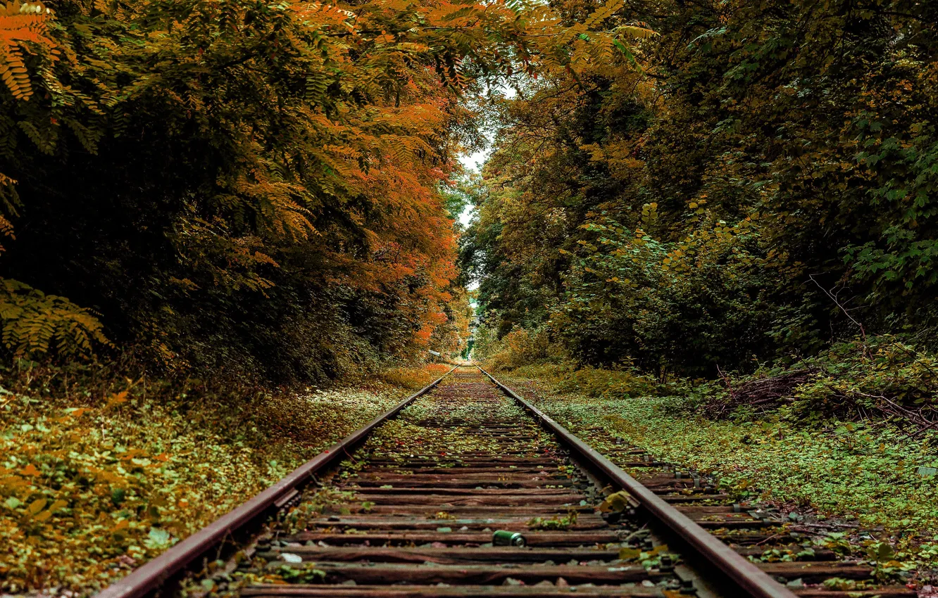 Photo wallpaper autumn, rails, railroad