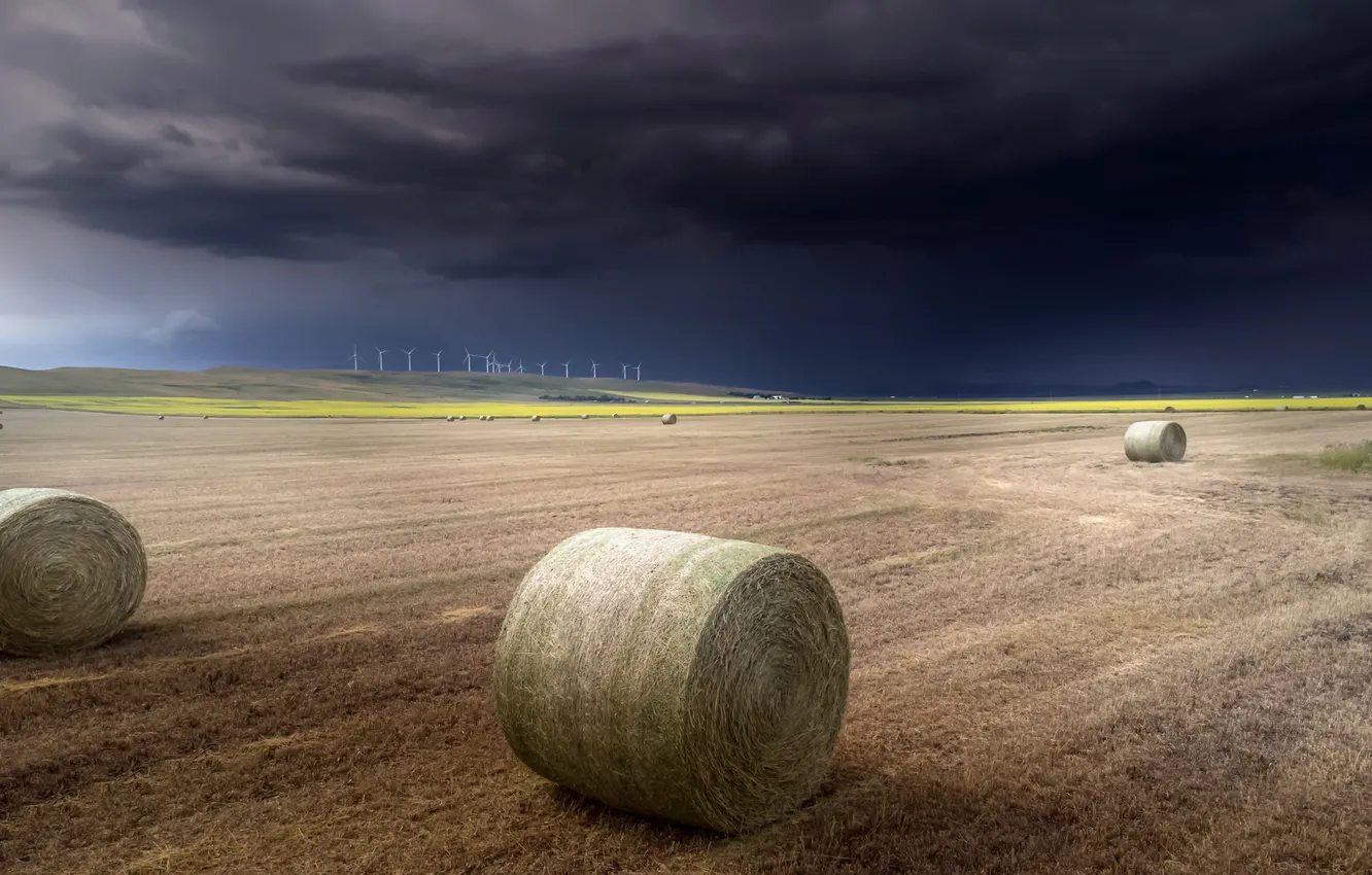 Photo wallpaper field, clouds, hay