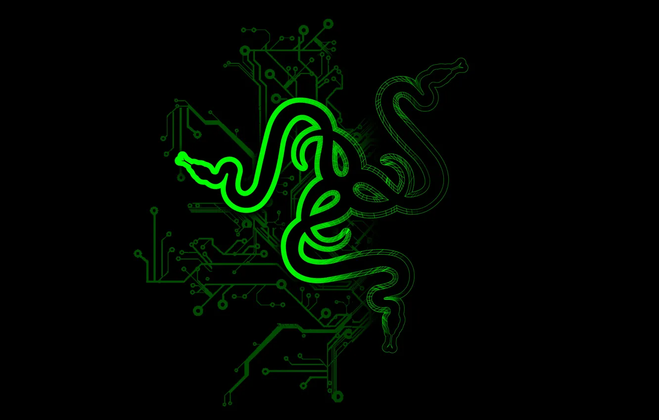 Photo wallpaper green, green, black, logo, black, Razer