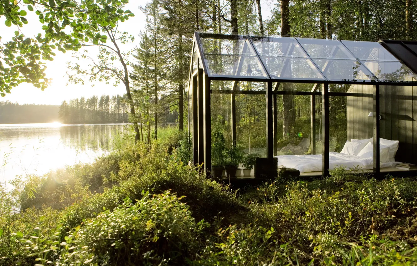 Photo wallpaper forest, glass, the sun, nature, house, river, eco