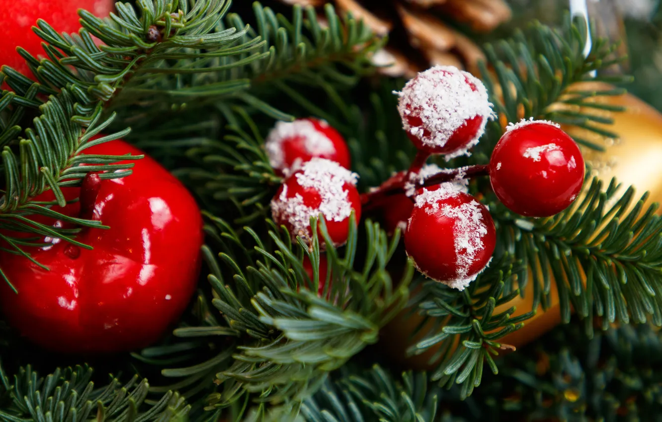 Photo wallpaper winter, branches, berries, holiday, Apple, ball, fruit, Christmas