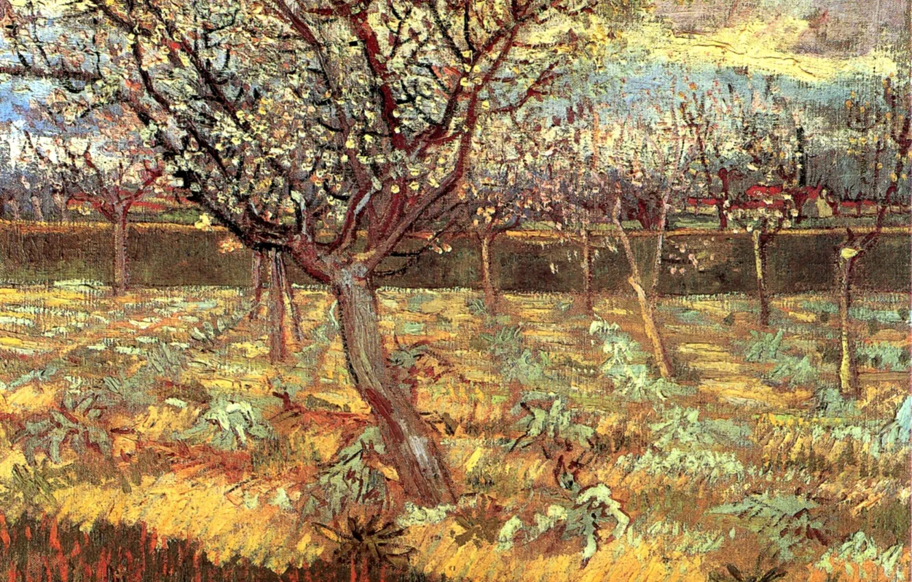 Photo wallpaper Vincent van Gogh, Apricot Trees, in Blossom 2