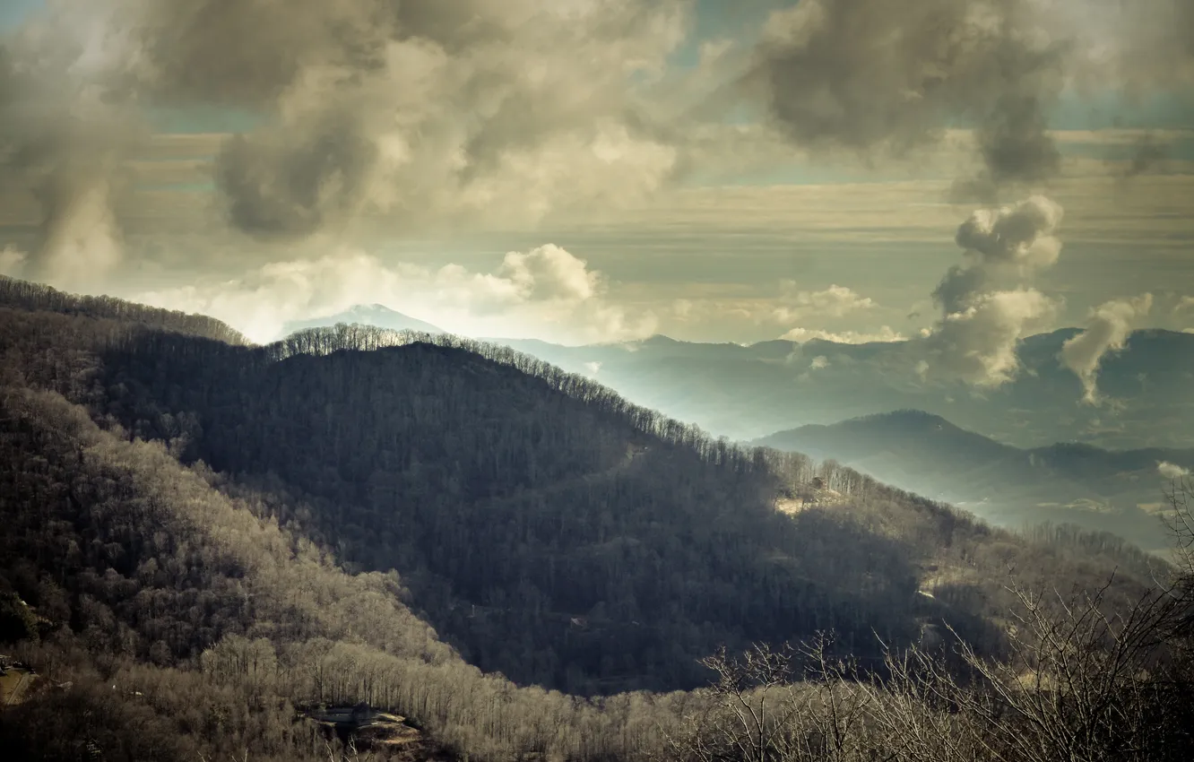 Photo wallpaper forest, clouds, trees, mountains, clouds, USA, North Carolina