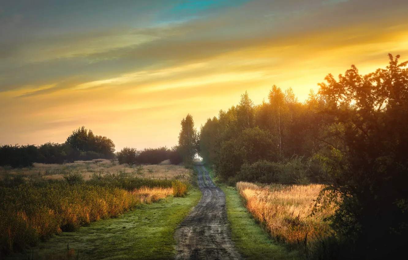 Photo wallpaper road, field, autumn, nature