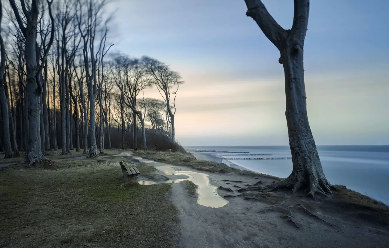 Photo wallpaper sea, shore, bench