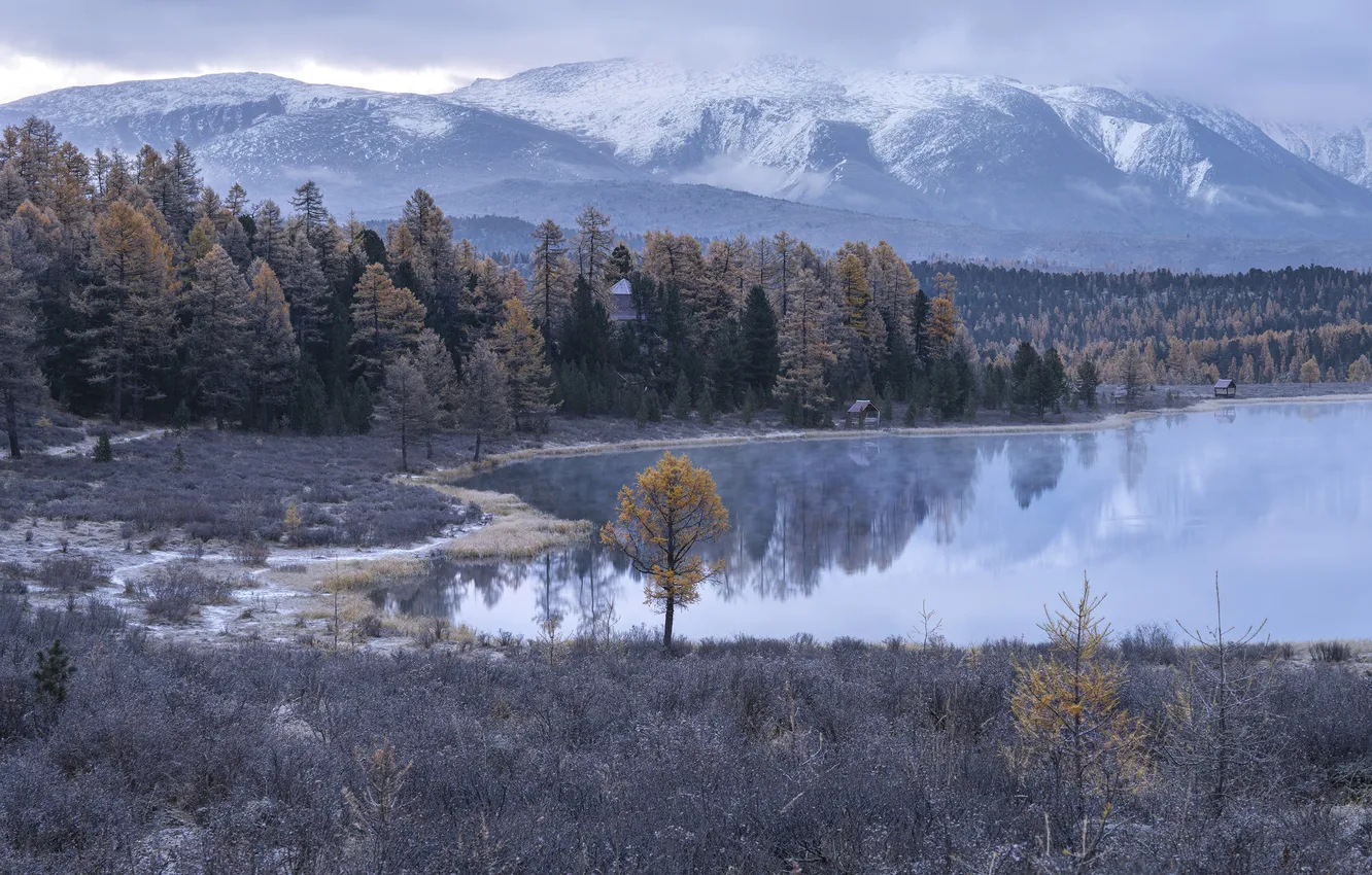 Photo wallpaper trees, mountains, lake, winter day, the beauty of nature, Frosty morning at Kidel Lake, Galina …