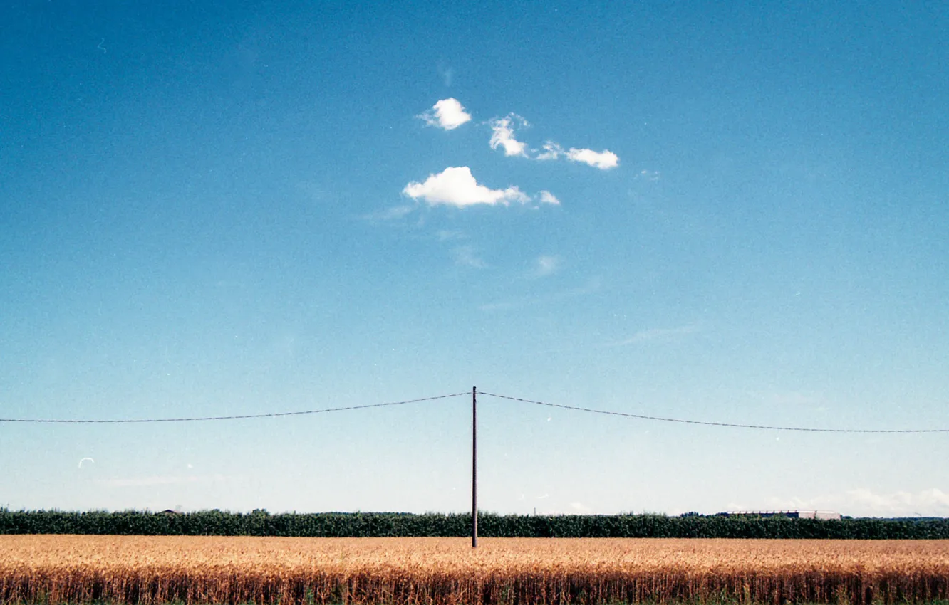 Photo wallpaper summer, sky, clouds, telephone line, corn field