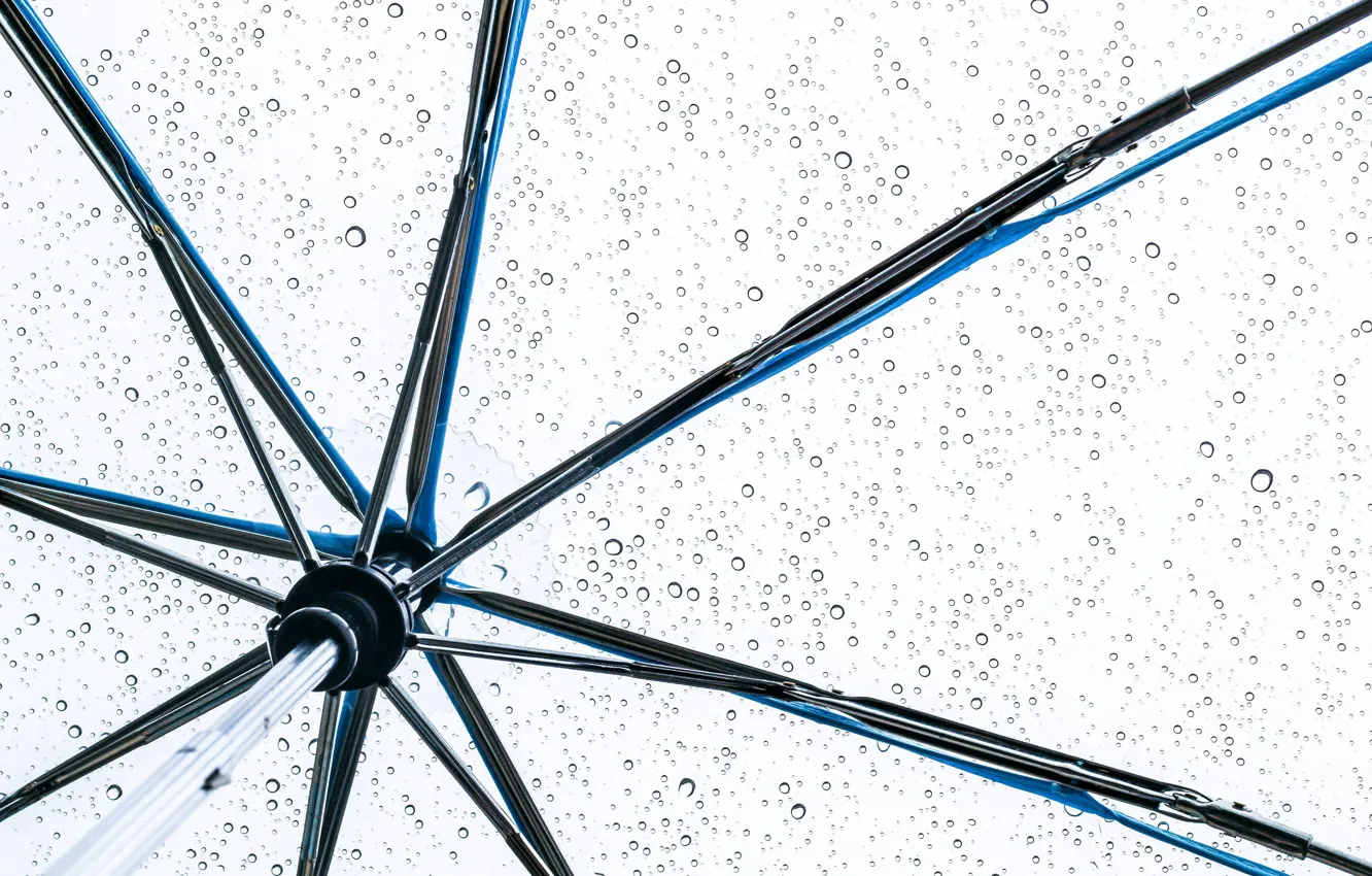 Photo wallpaper umbrella, drops, raining