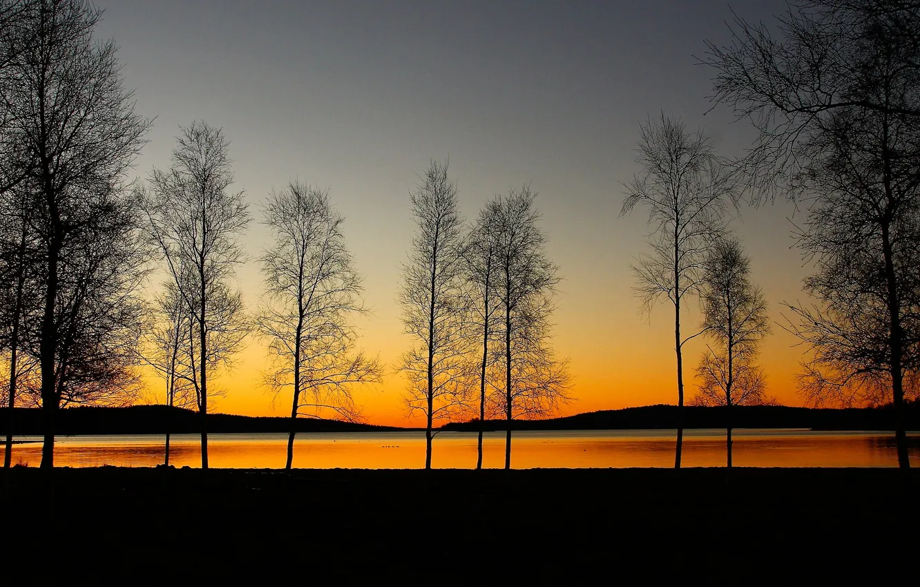 Photo wallpaper the sky, trees, lake, the evening, silhouette, glow