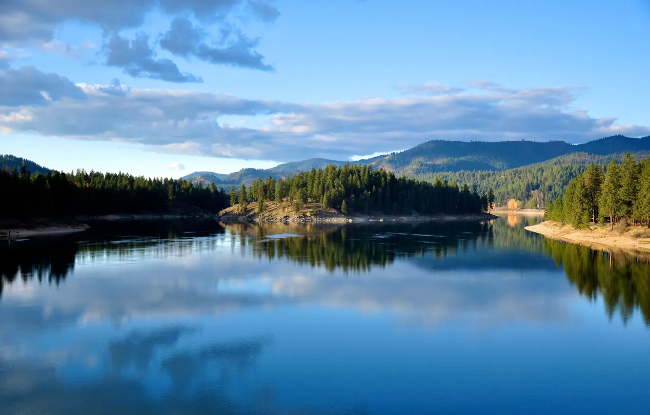 Photo wallpaper forest, the sky, trees, lake