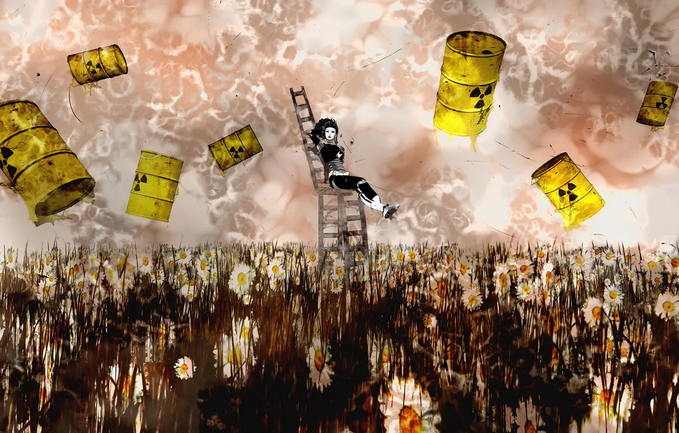 Photo wallpaper field, girl, flowers