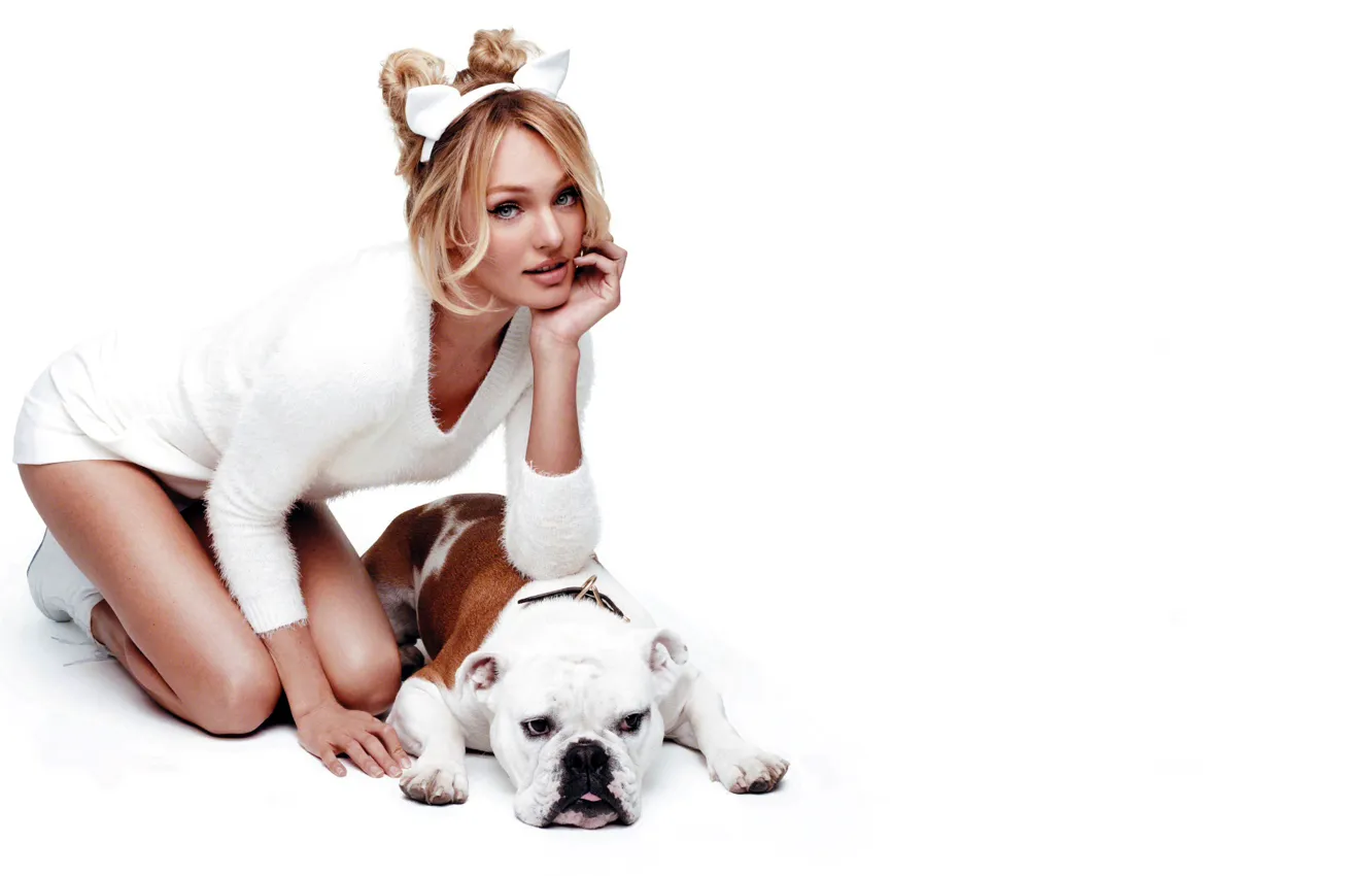 Photo wallpaper white, girl, pose, background, model, dog, blonde, Candice Swanepoel