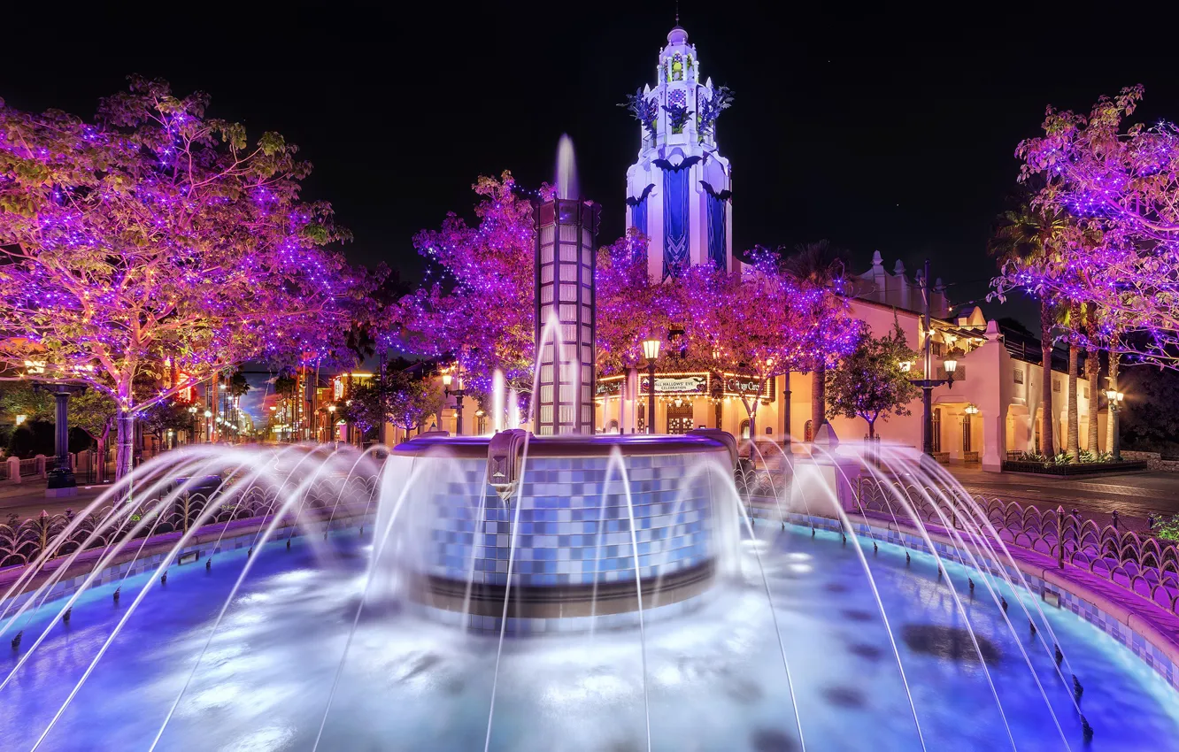 Photo wallpaper beauty, Park, the city, night lights, Fantan