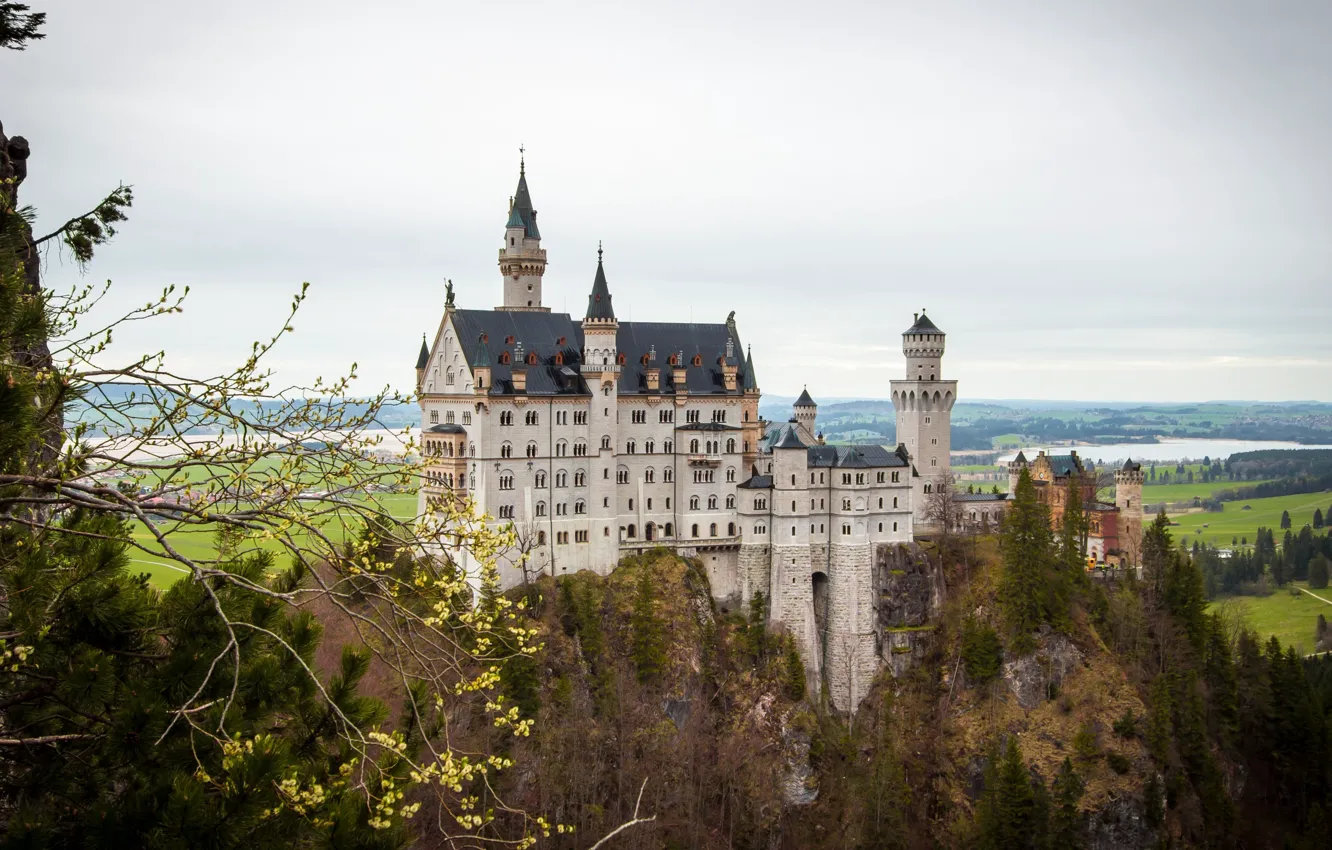 Photo wallpaper field, branch, spring, Germany, Bayern, forest, Neuschwanstein castle