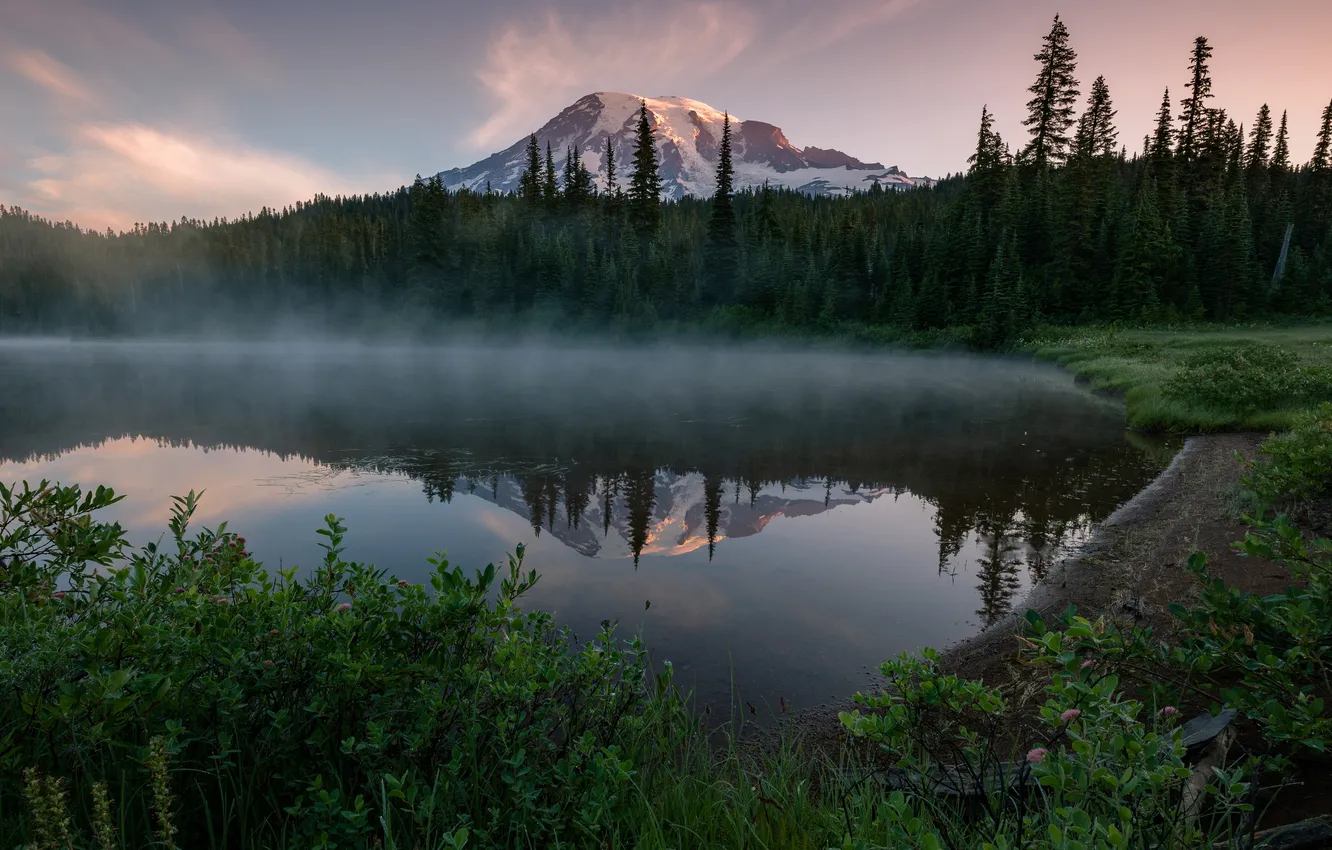 Photo wallpaper forest, mountains, fog, lake, reflection, shore, morning, ate