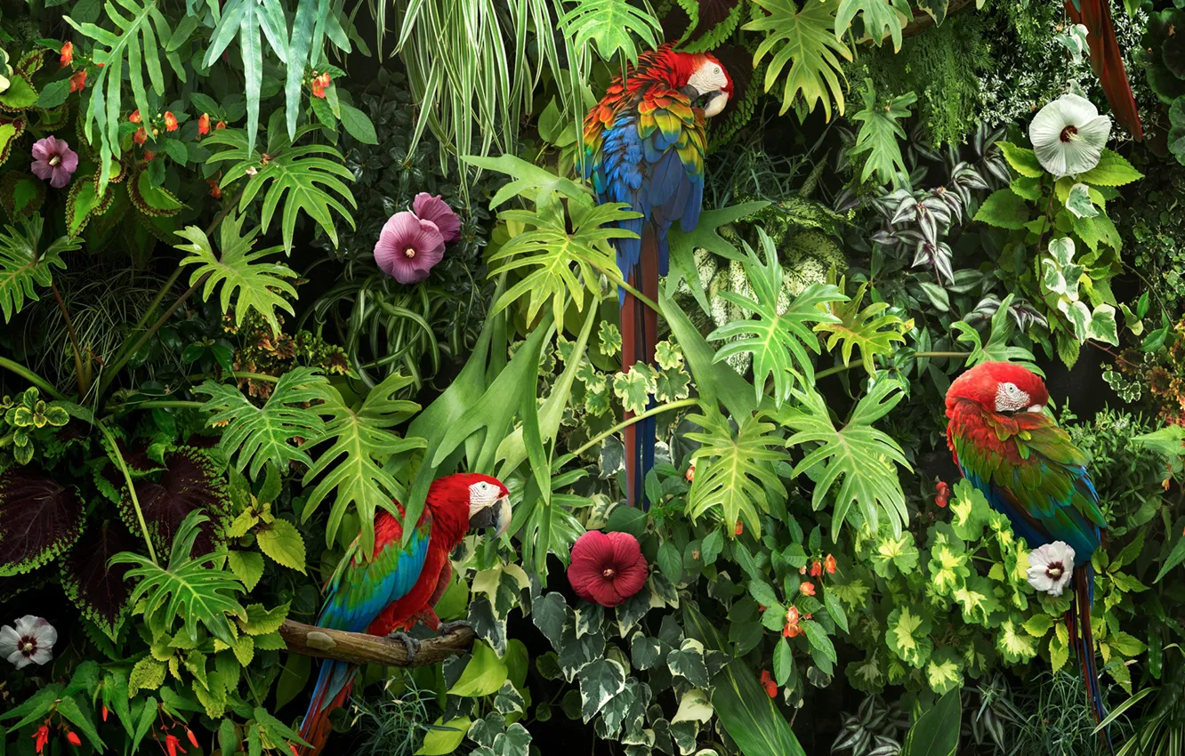 Photo wallpaper greens, leaves, flowers, birds, branches, nature, parrots, colorful