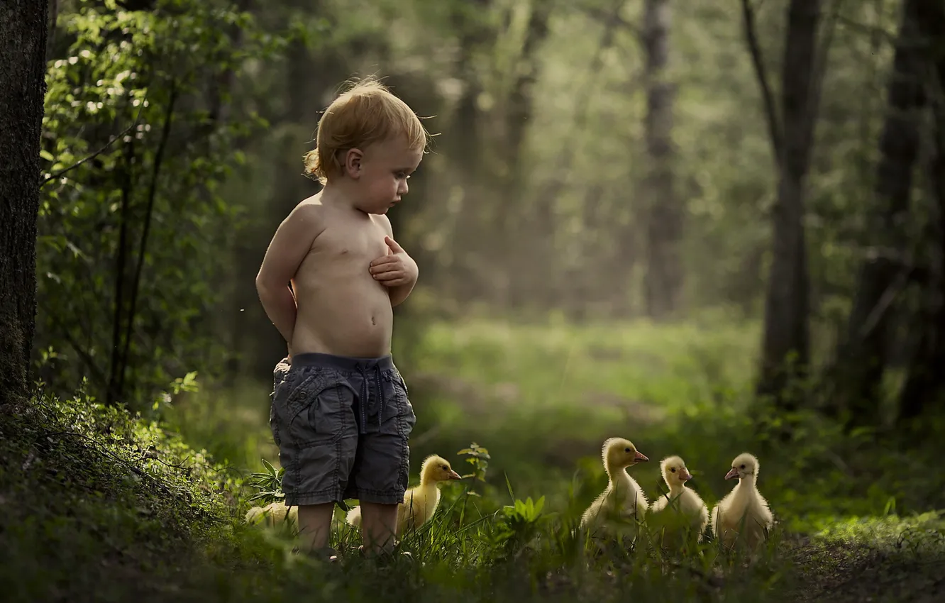 Photo wallpaper summer, mood, duck, Malchik