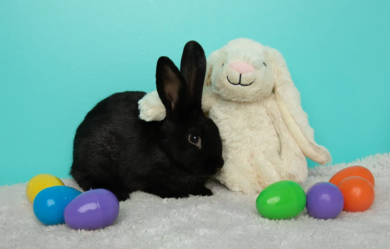 Photo wallpaper white, smile, holiday, together, black, toy, hare, eggs