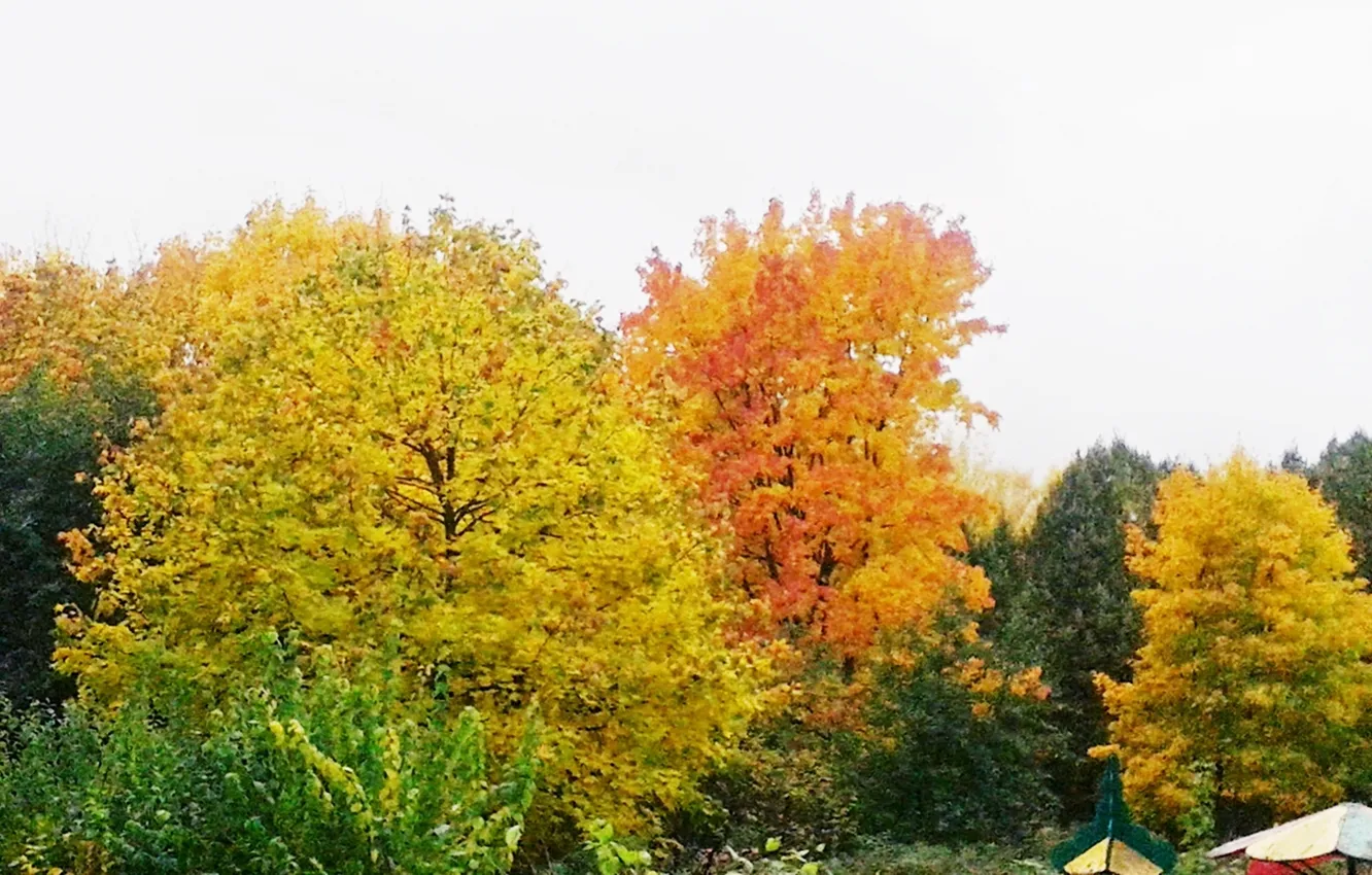 Photo wallpaper autumn, landscape, beauty, October 2024