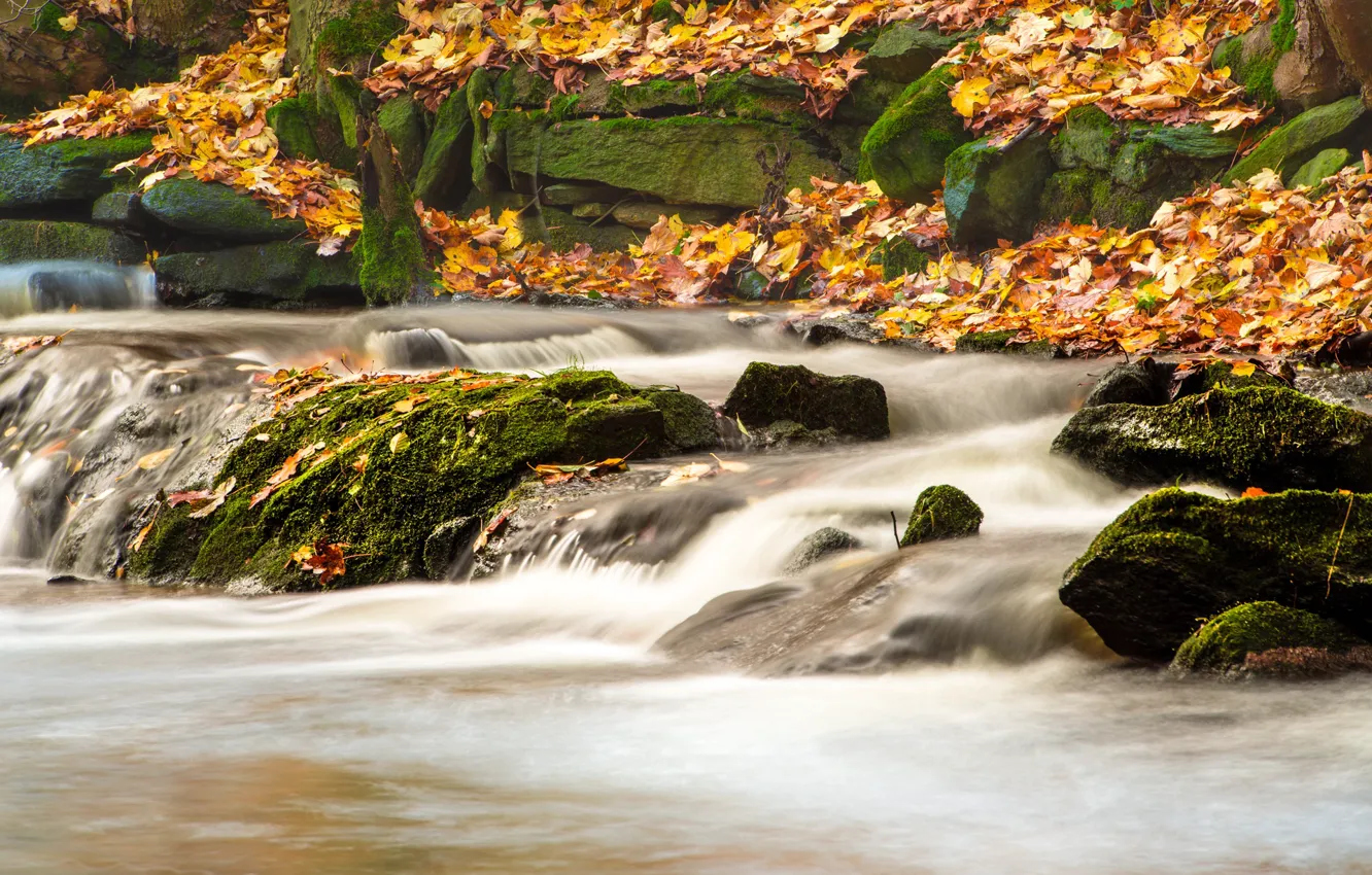 Photo wallpaper autumn, leaves, yellow, river, stones, waterfall
