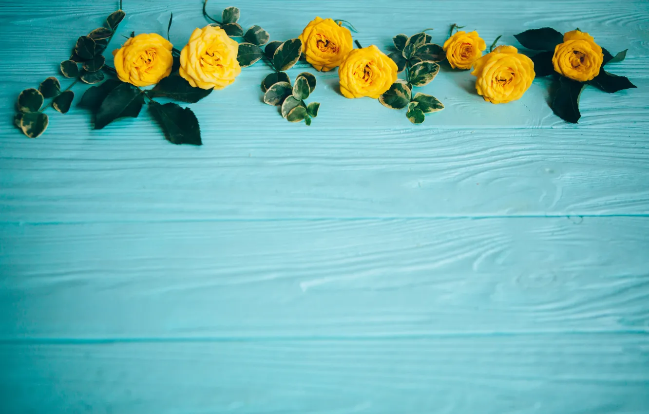 Photo wallpaper flowers, roses, yellow, yellow, wood, flowers, roses