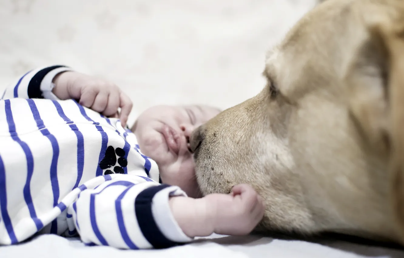 Photo wallpaper children, comfort, each, tenderness, home, dog