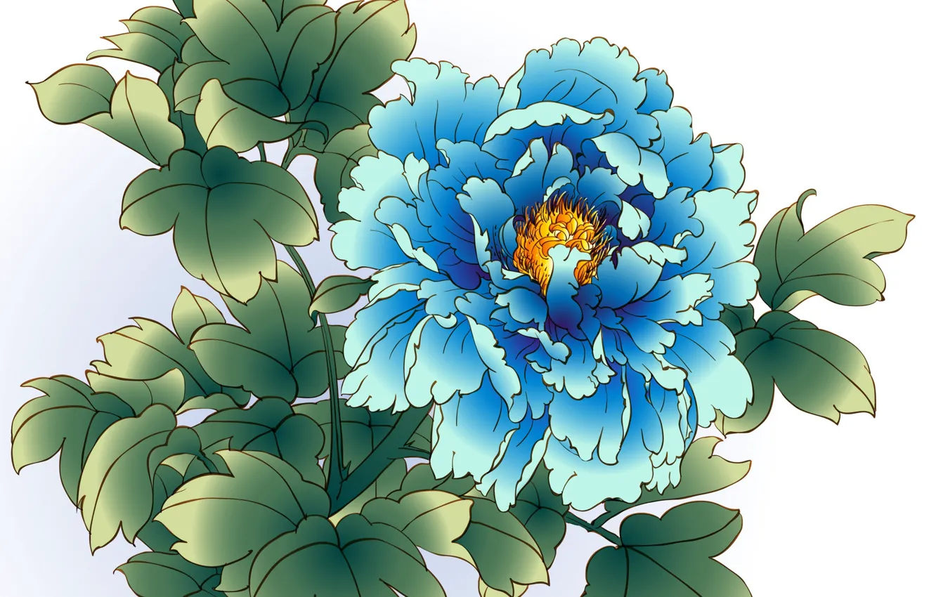 Photo wallpaper flower, white background, peony, blue peony