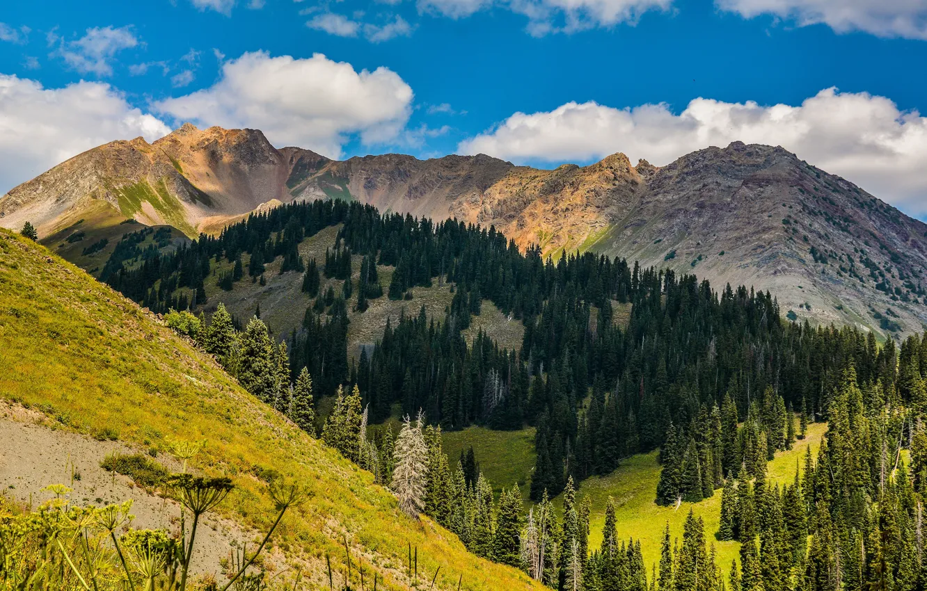 Photo wallpaper forest, the sky, clouds, mountains, hills, ate, slope