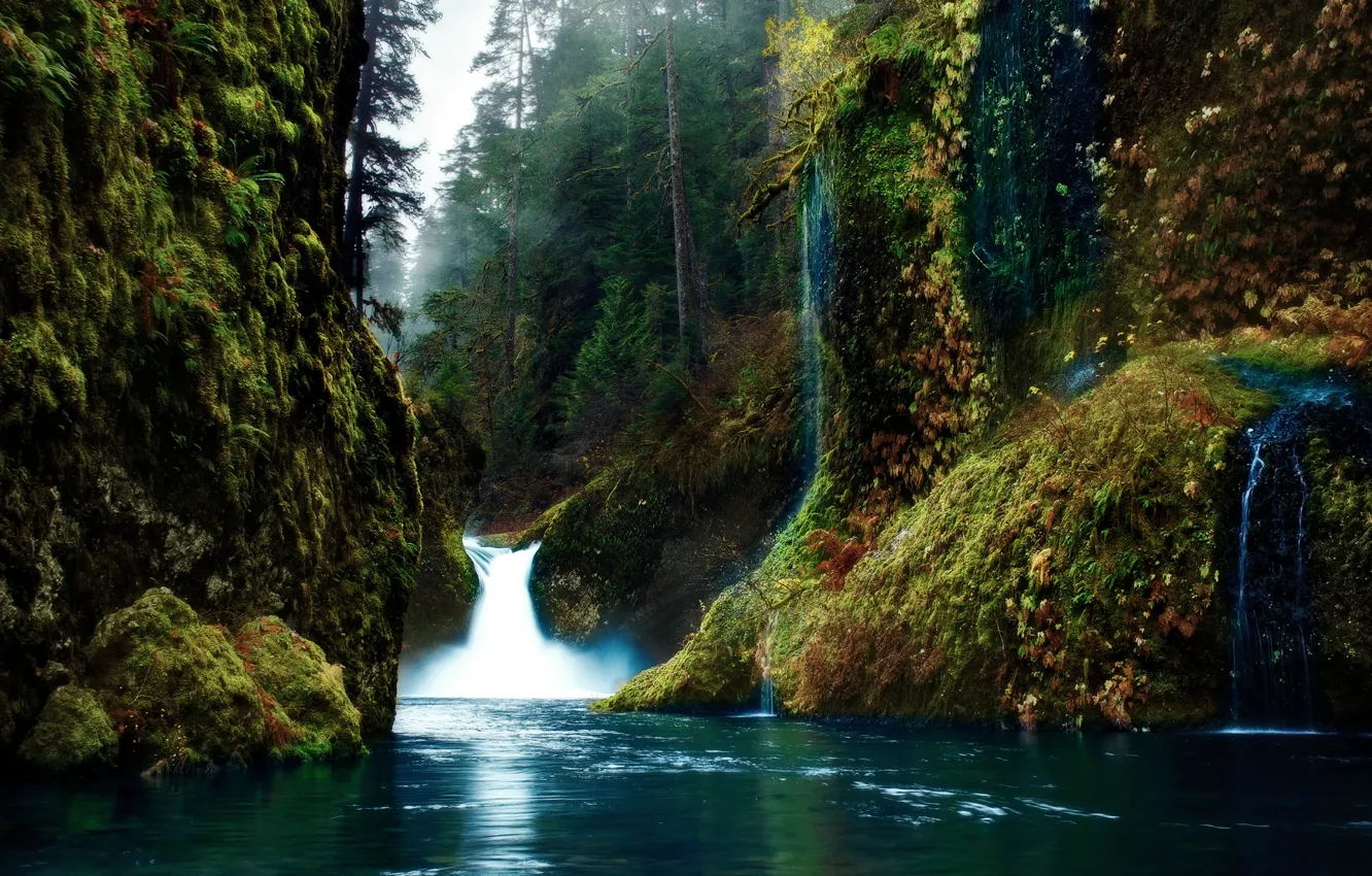 Photo wallpaper forest, nature, river, waterfall