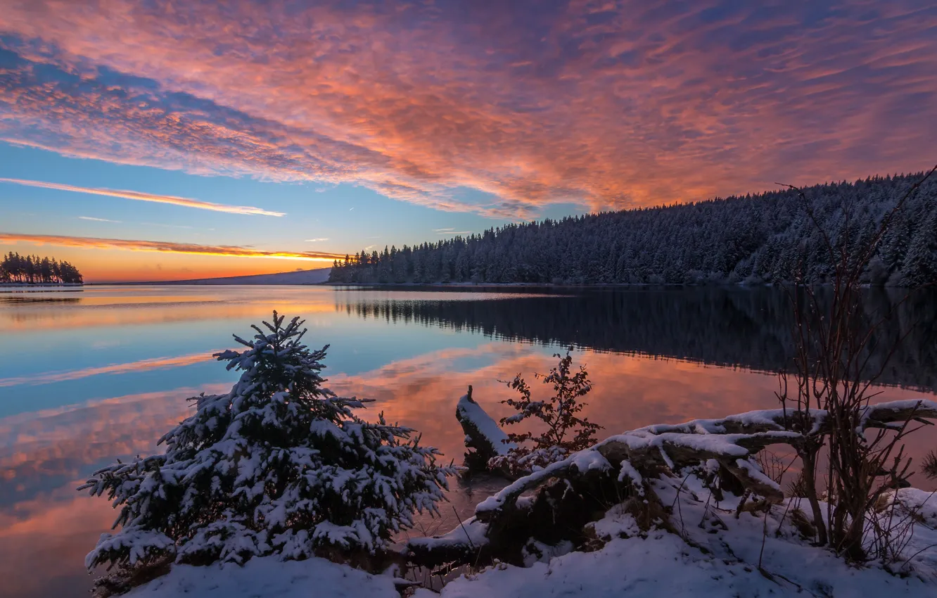 Photo wallpaper winter, forest, the sky, clouds, snow, sunset, branches, lake