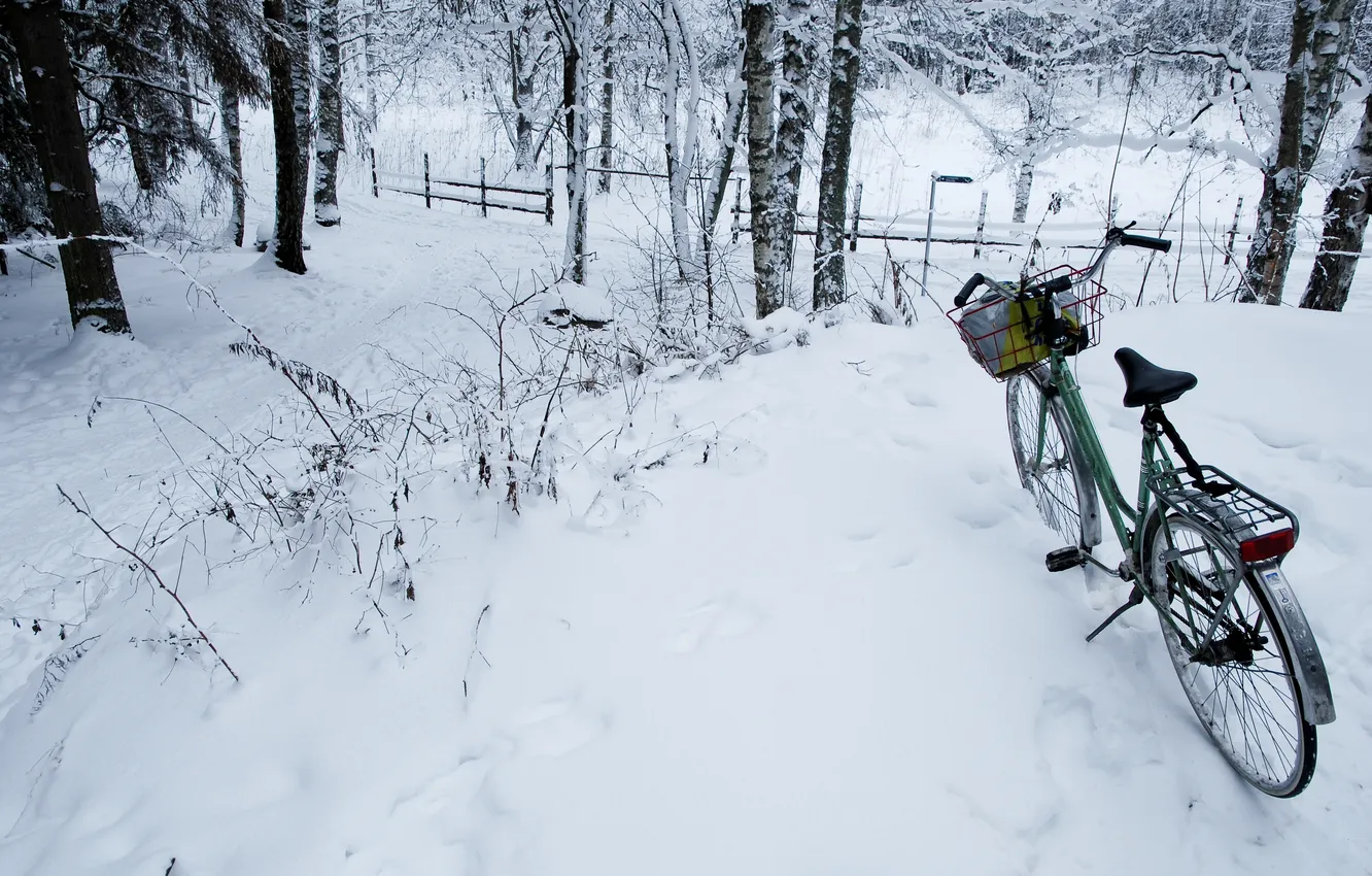 Photo wallpaper walk, Bike, winter forest