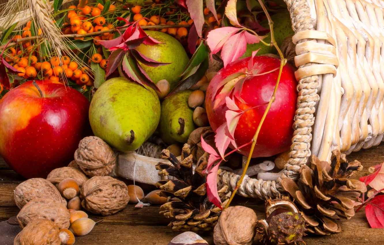 Photo wallpaper fruit, nuts, basket, bumps, Rowan, the gifts of autumn