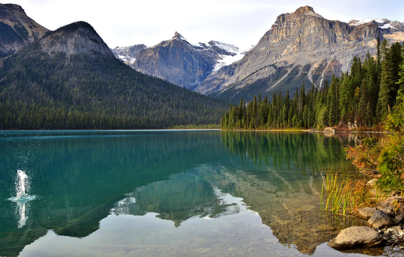 Photo wallpaper forest, mountains, lake, reflection, stones, shore, tops, splash