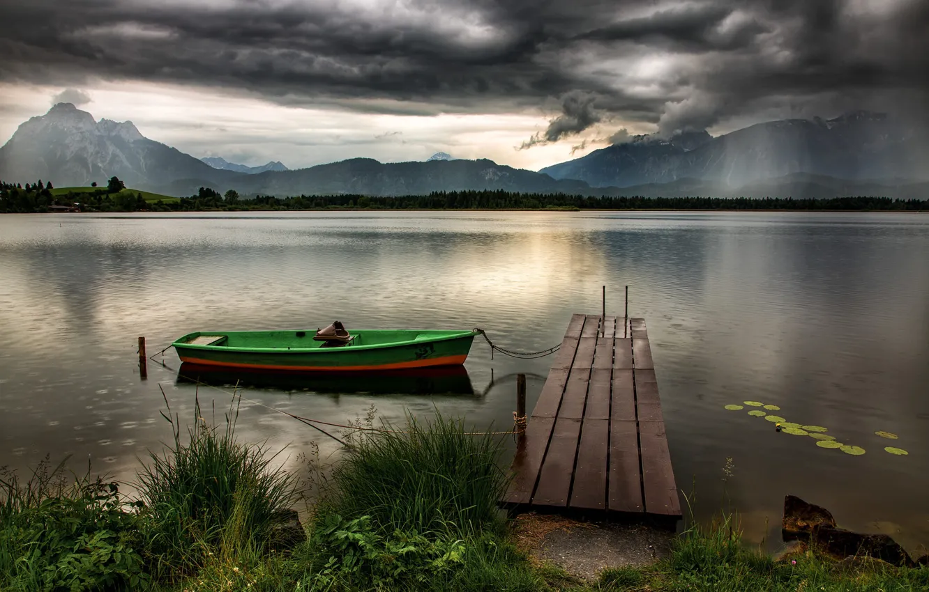 Photo wallpaper forest, summer, the sky, grass, mountains, clouds, overcast, hills