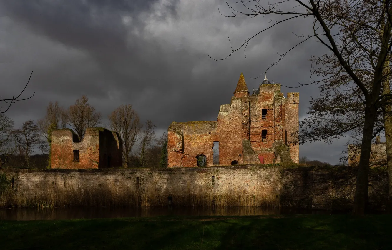 Photo wallpaper light, trees, branches, clouds, castle, wall, overcast, shore