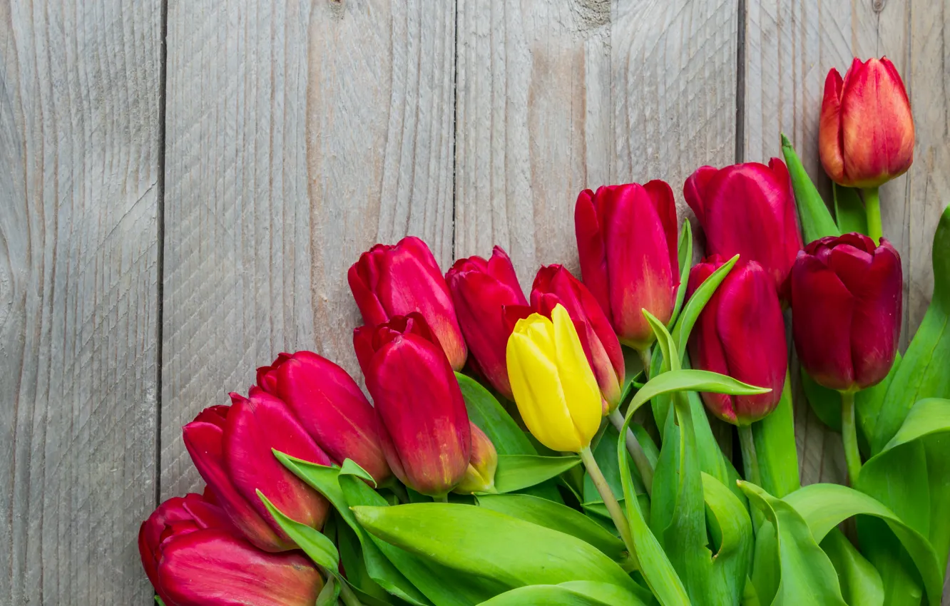 Photo wallpaper flowers, bouquet, colorful, tulips, red, wood, flowers, tulips