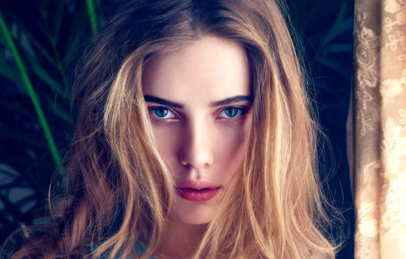 Photo wallpaper look, face, hair, portrait, makeup, actress, Scarlett Johansson, singer