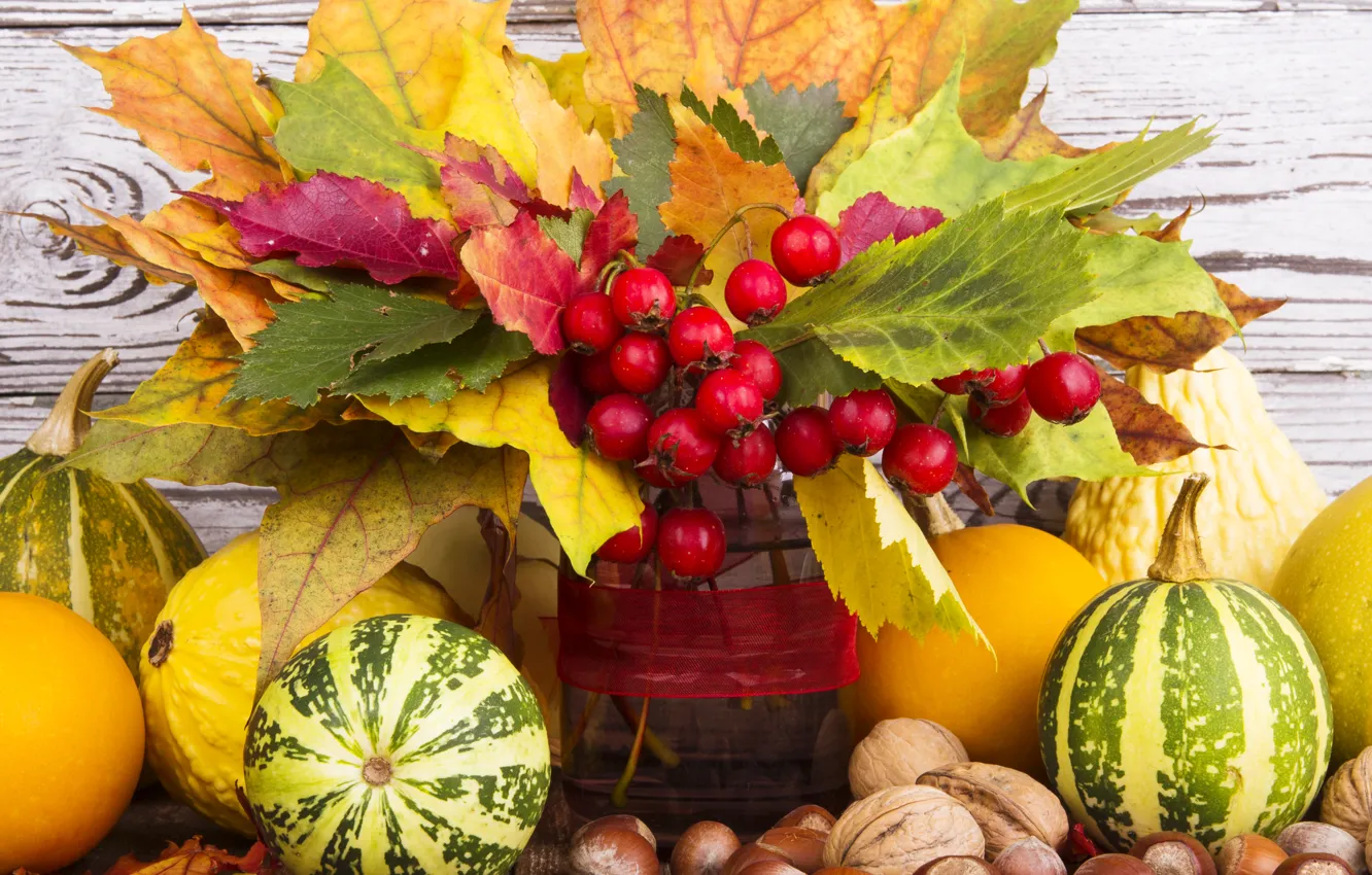 Photo wallpaper autumn, leaves, berries, harvest, pumpkin, nuts, autumn, leaves