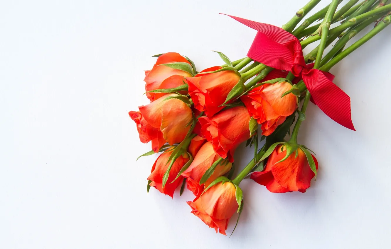 Photo wallpaper red, roses, bouquet, bow