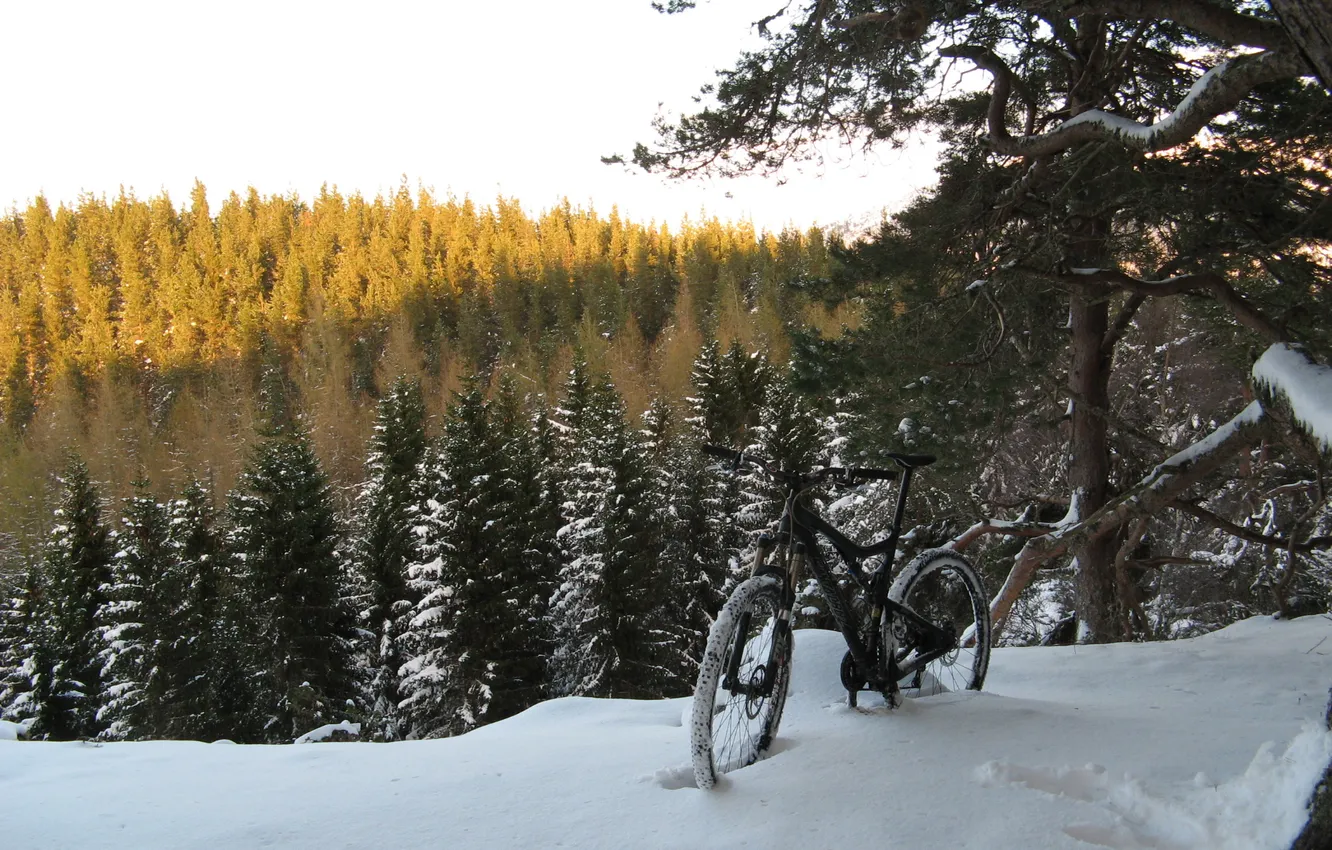 Photo wallpaper winter, nature, bike, halt