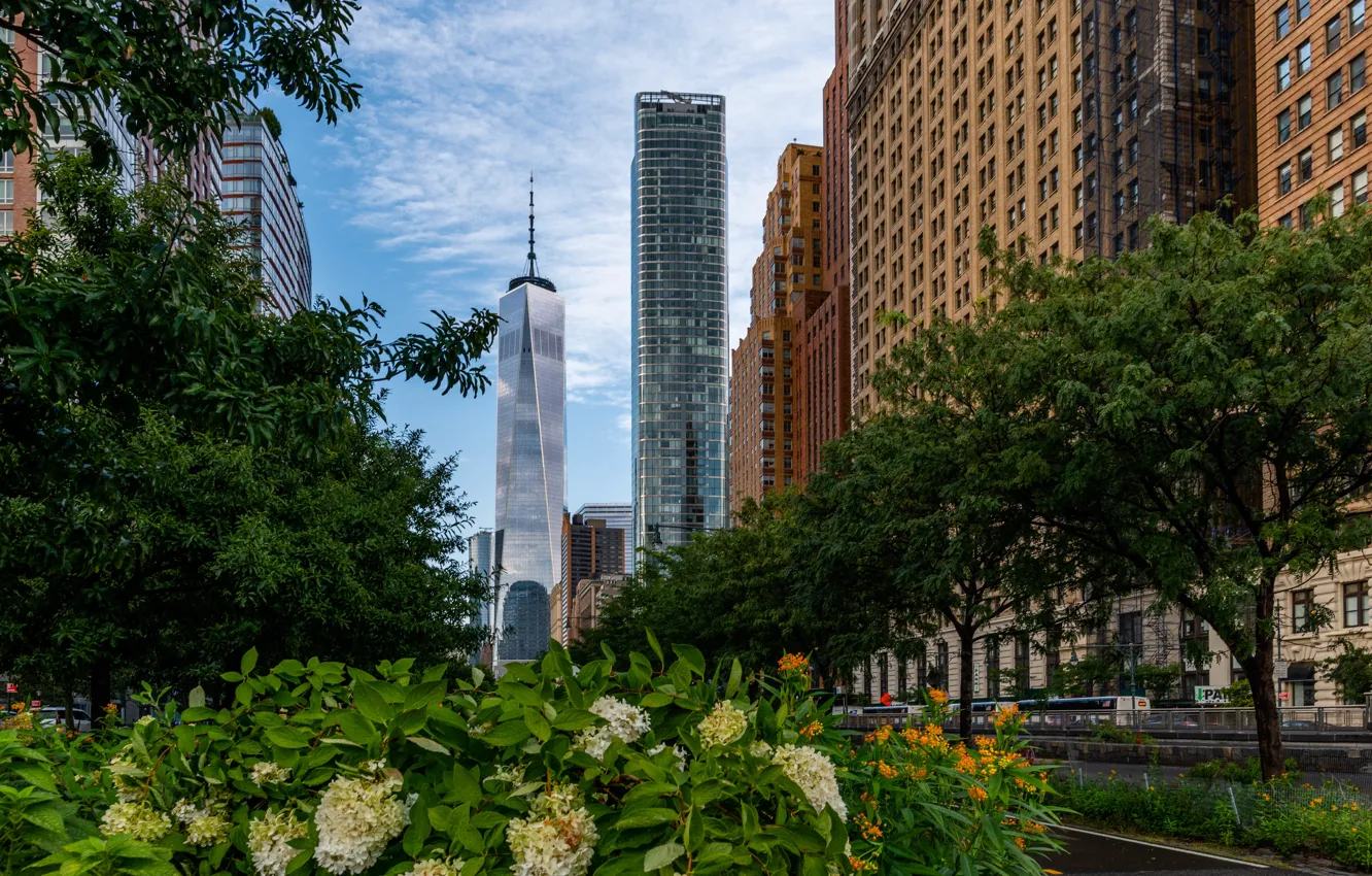 Photo wallpaper trees, flowers, the city, Park, street, building, New York, skyscrapers