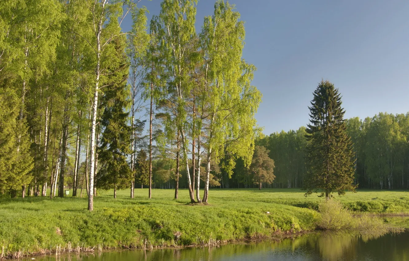 Photo wallpaper water, trees, landscape, nature, lake, shore, forest.trees, VODEM