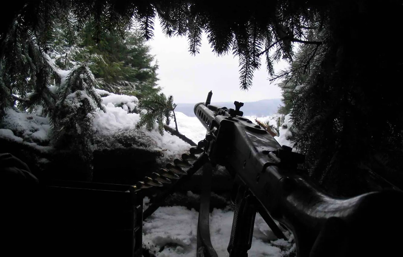 Photo wallpaper snow, weapons, ambush, needles, MG-42