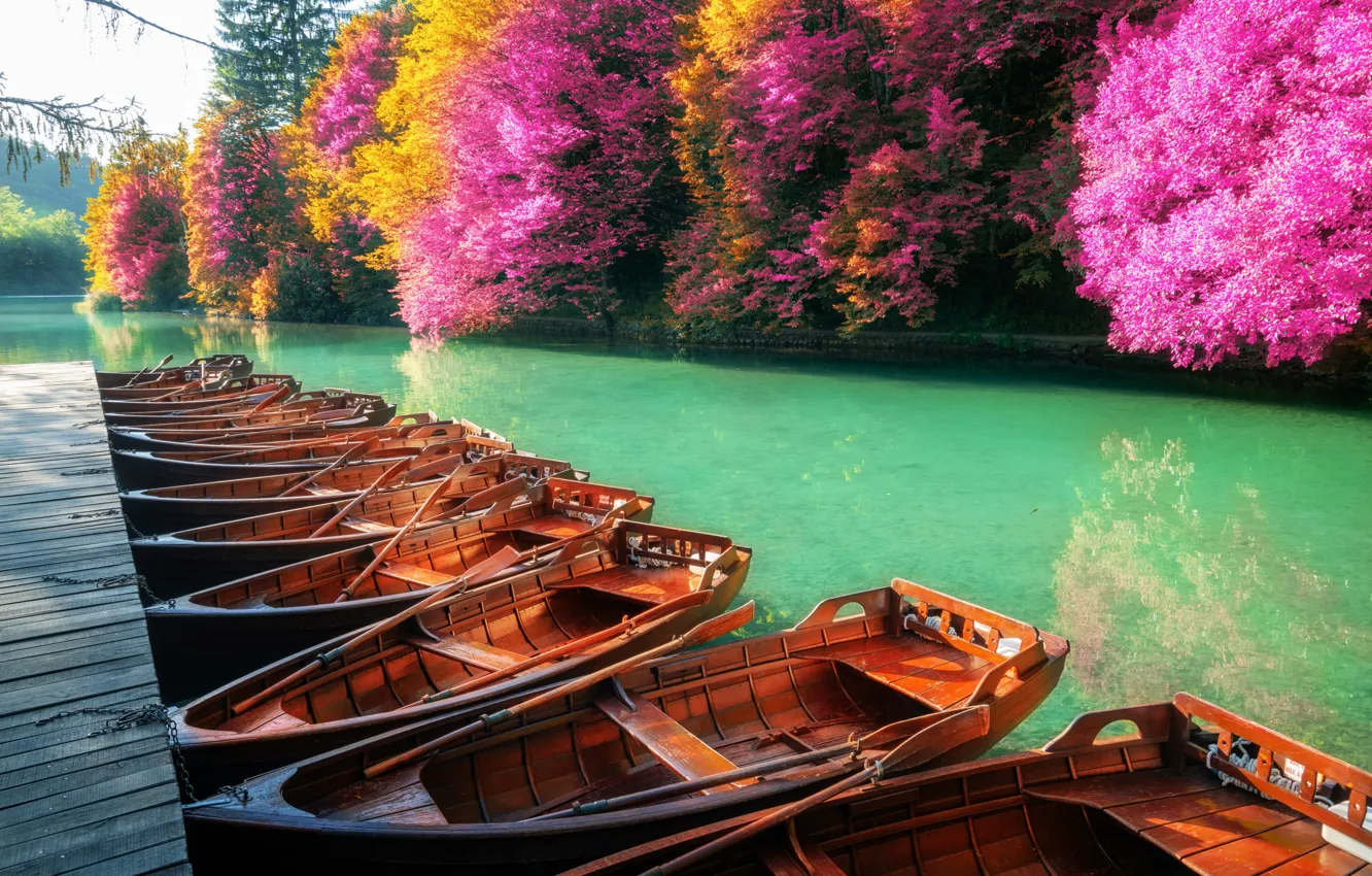 Photo wallpaper forest, landscape, nature, boats, pier, Croatia, Plitvice lakes