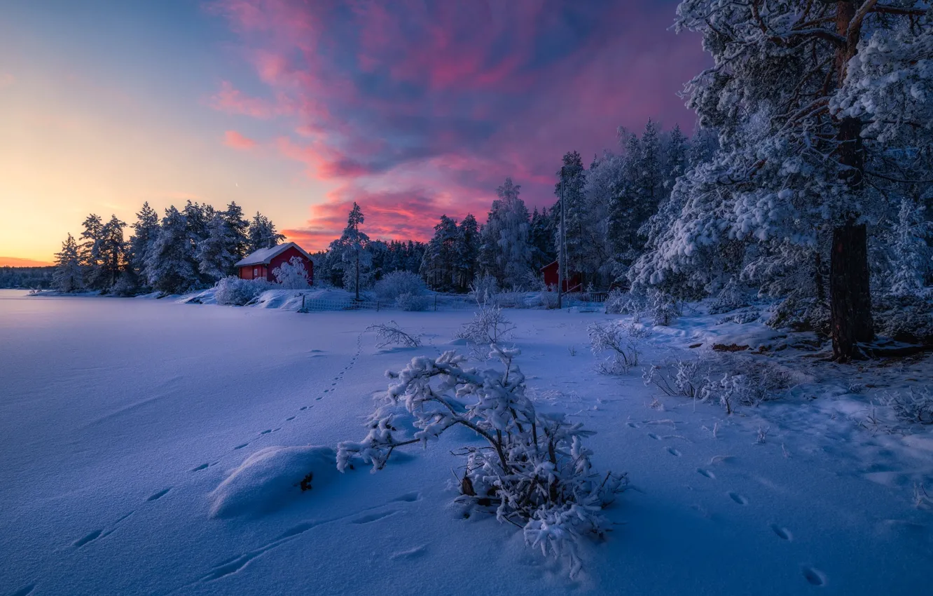 Photo wallpaper winter, forest, snow, nature, house
