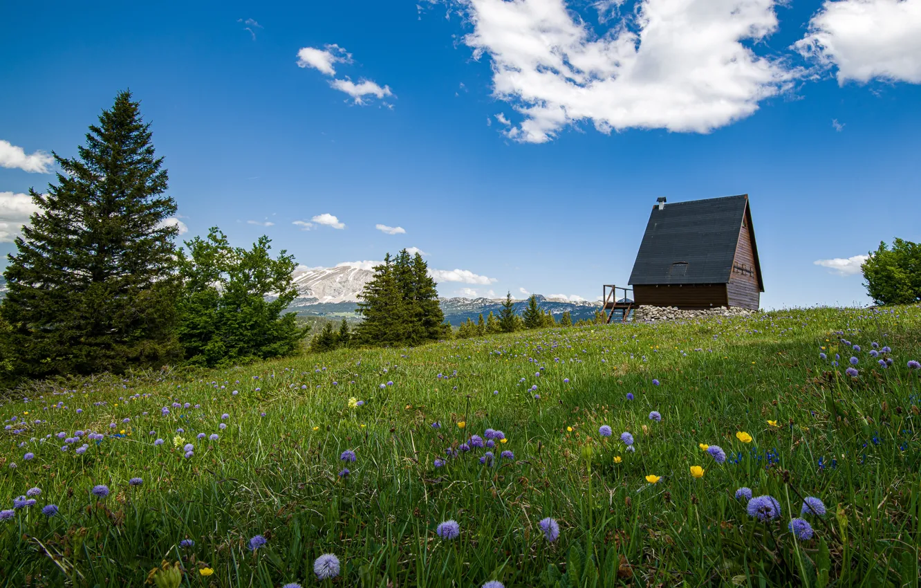 Photo wallpaper trees, Switzerland, Alps, meadow, house