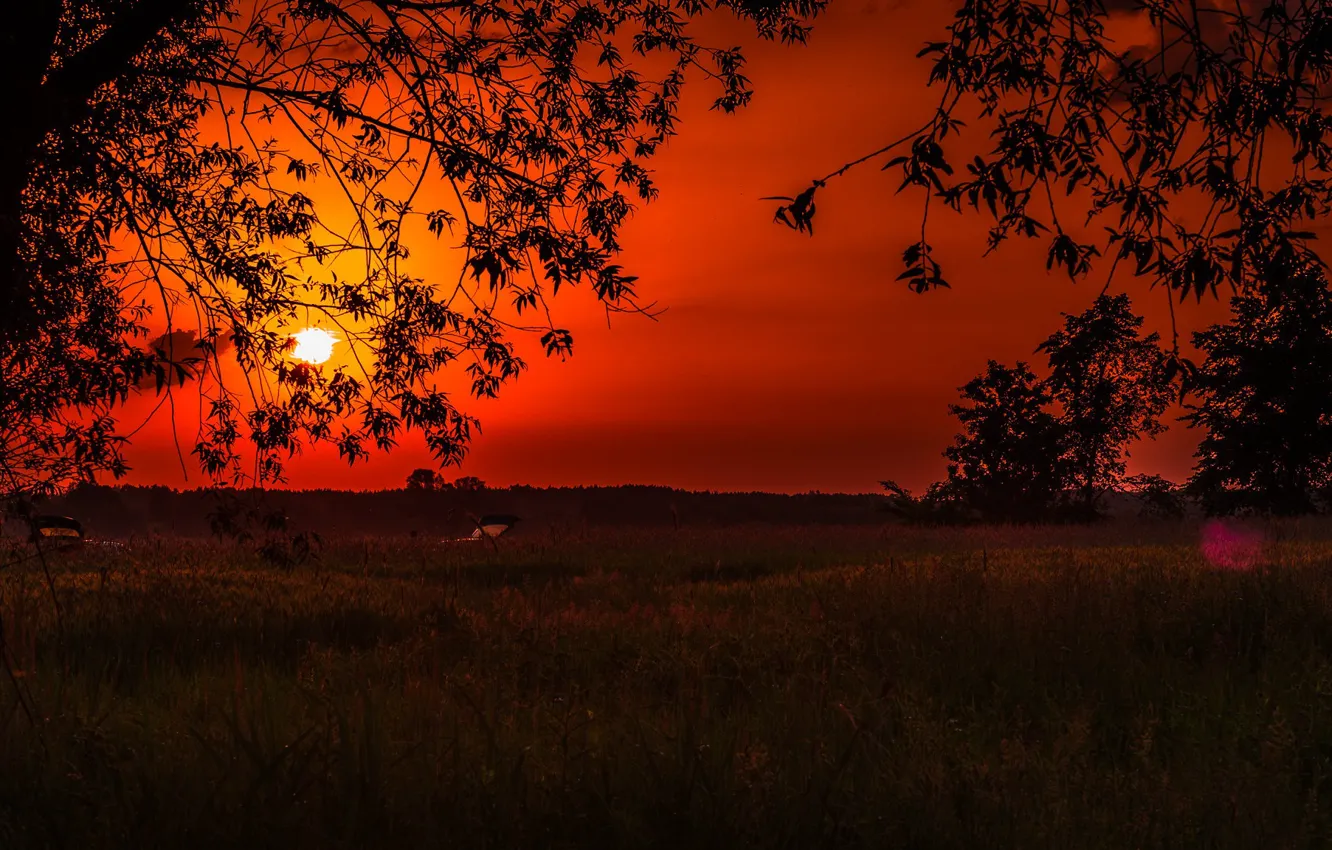 Photo wallpaper the sun, sunset, glow